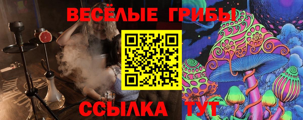 Ефремов  Галлюциногенные грибы прущие грибы  Вход с VPN 