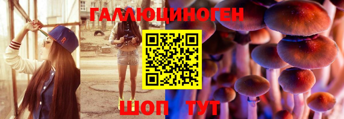 Псилоцибиновые грибы Psilocybine cubensis Ефремов